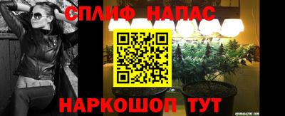 дмт Краснознаменск