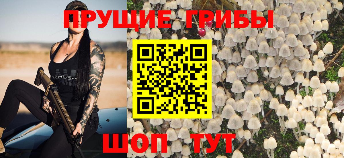 Псилоцибиновые грибы Magic Shrooms  Вход с VPN  Карачаевск 