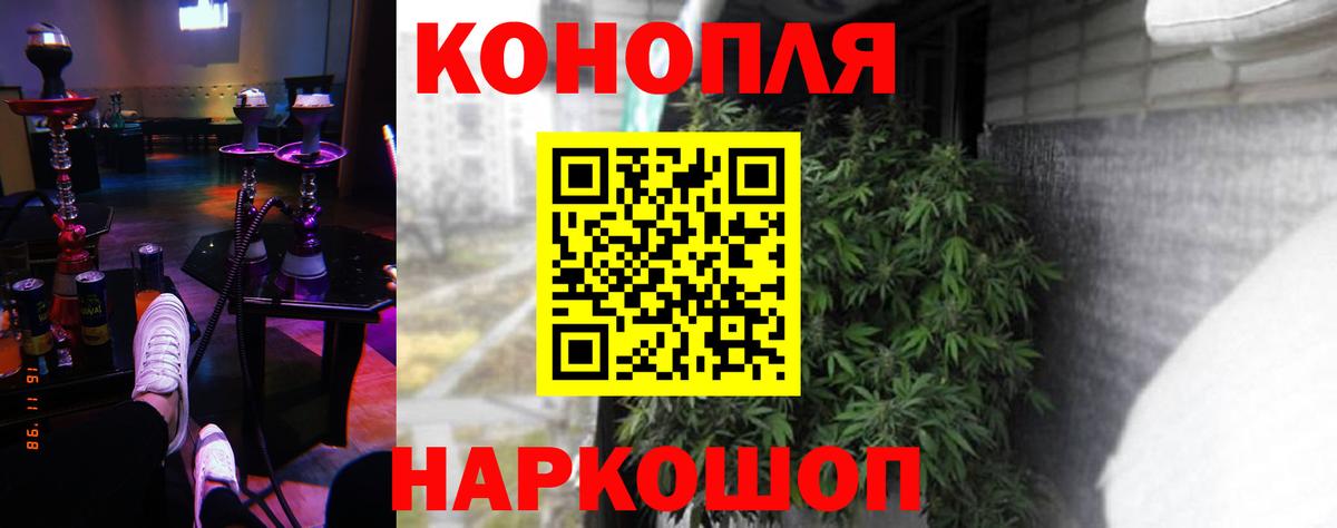 Марихуана семена  Канабис тримм  Вход с VPN  Шишки марихуана Amnesia  Карачаевск 